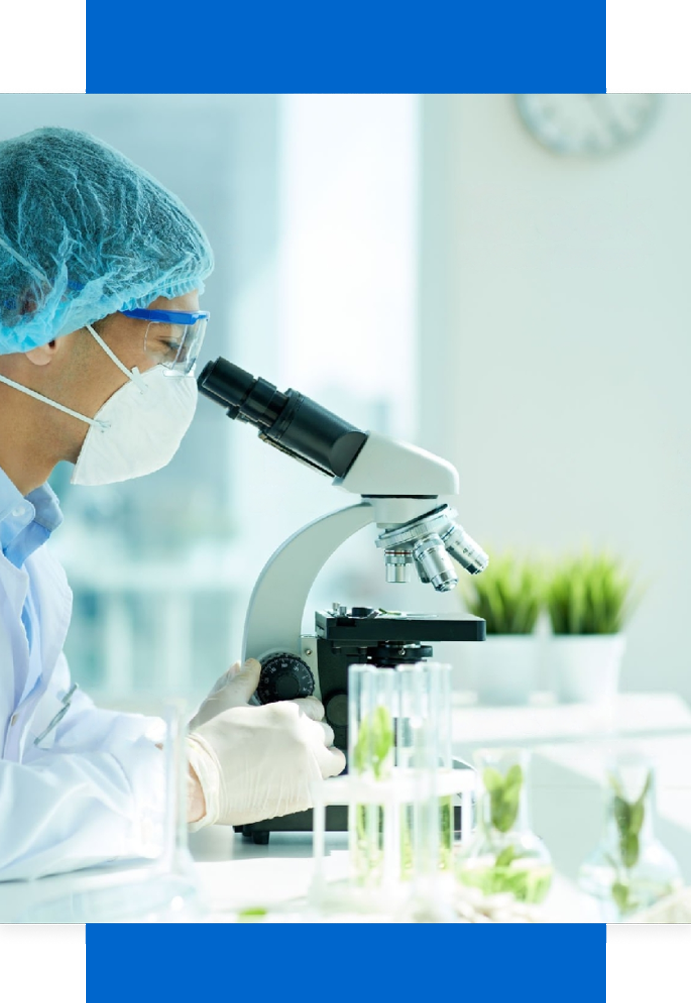 Functional And Active Ingredients