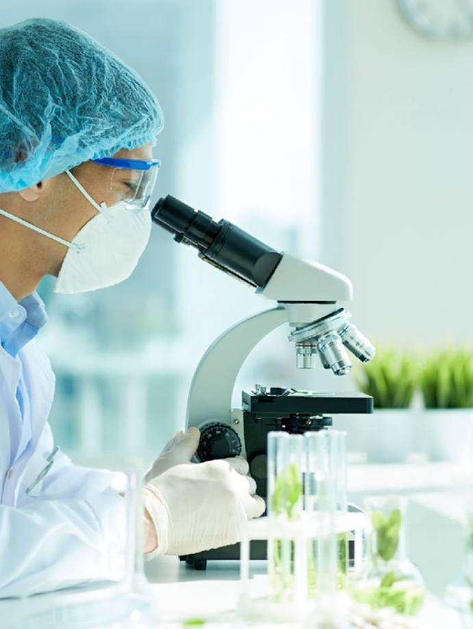 Functional And Active Ingredients